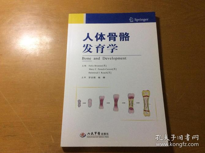 人体骨骼发育学