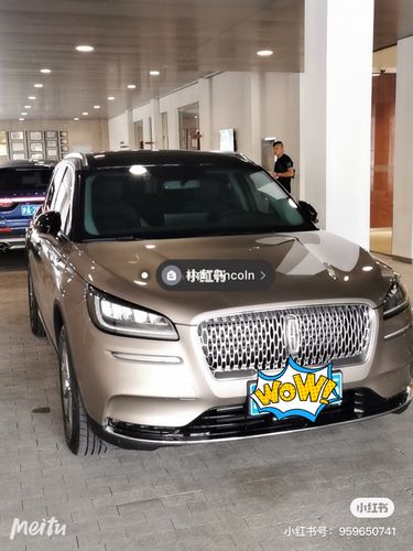 冰咖棕色 提车_冒险_林肯怎么样_美图怎么样_智能_林肯冒险家_汽车