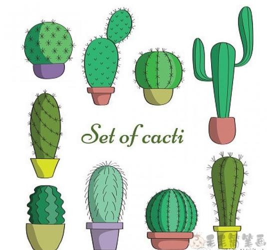 组图:本次毛毛要分享一组非常好看的仙人掌简笔画图片,这组图画法简单