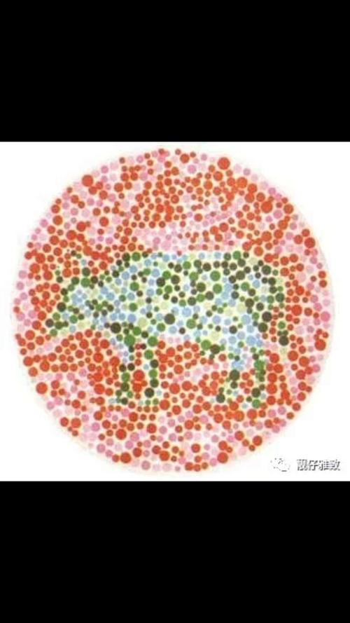 如果你看成是"一只鹿",恭喜你,你不是色盲就是色弱