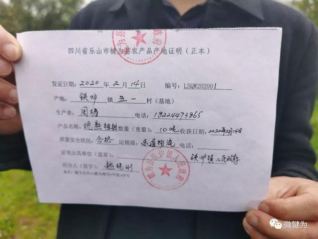 赞犍为小伙10吨水果驰援武汉