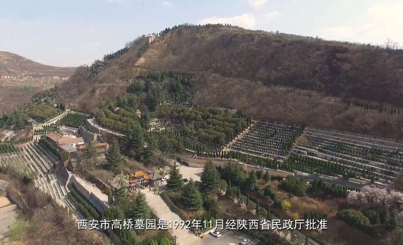 高桥墓园图片_高桥墓园都有哪些区域