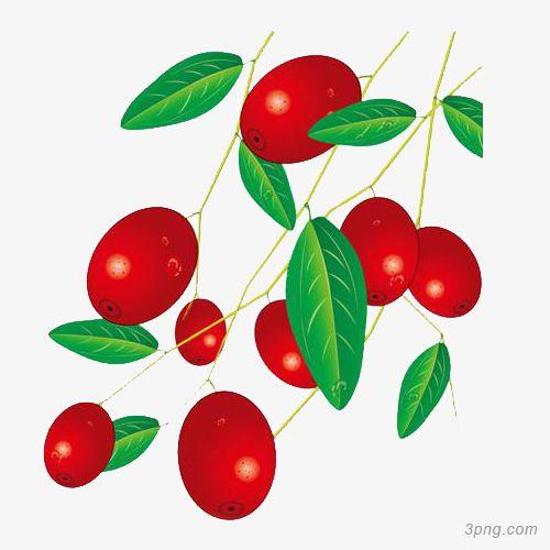 卡通红色枣子png素材透明免抠图片-动植人物
