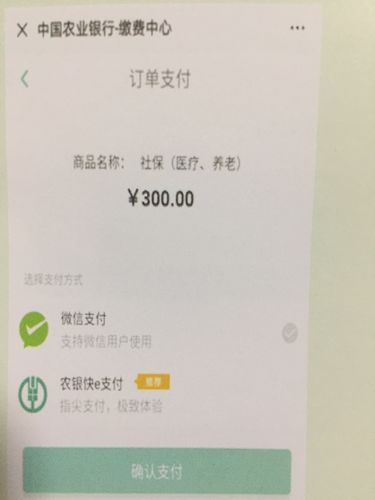 为拓展城乡居民两险多元化缴费方式,推出了微信及支付宝缴费方式