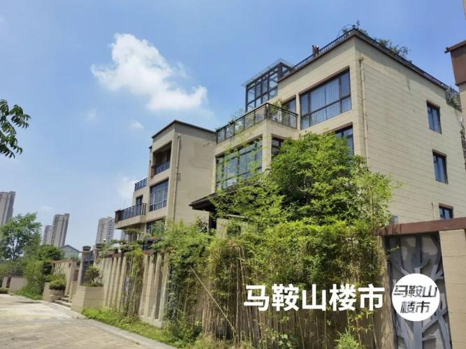 马鞍山产业园区竟然还卖别墅,总价300万,产权只有50年