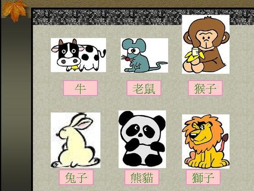 简笔画胎生动物