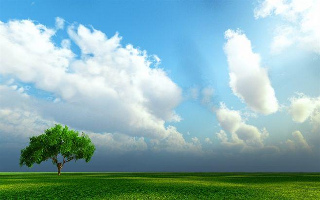 新西兰郊外风景壁纸桌面壁纸2