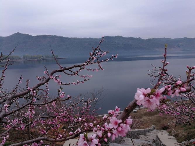 2019年丹东河口桃花岛