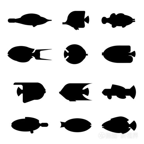 热带鱼剪影在白色背景上的集合