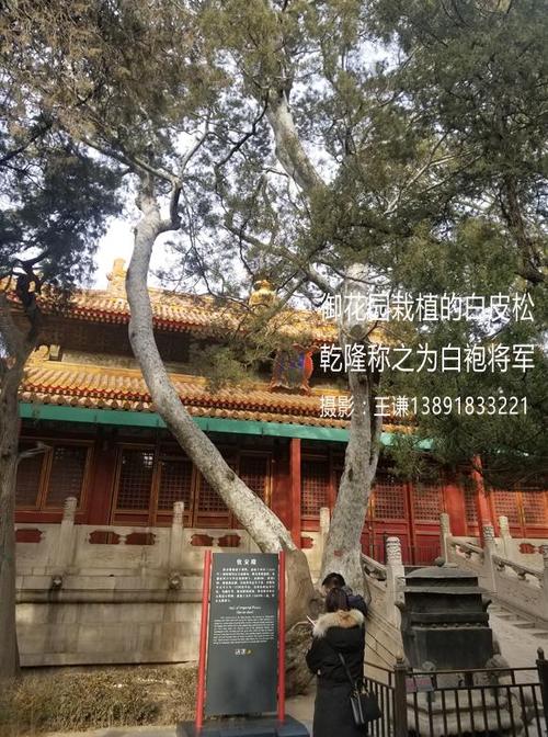 这就是乾隆皇帝说的白袍将军