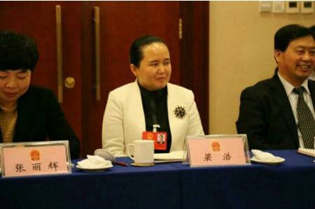 安然副董事长,总裁梁浩参加十七届二次人大会