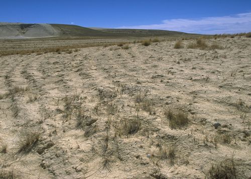 沙漠里的荒地图片素材_免费下载_jpg图片格式_高清_摄