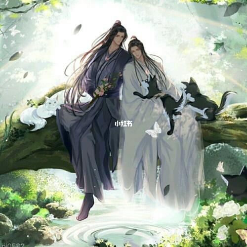 实体小说《海棠微雨共归途》_小说_书籍_网络小说_好看的书籍推荐