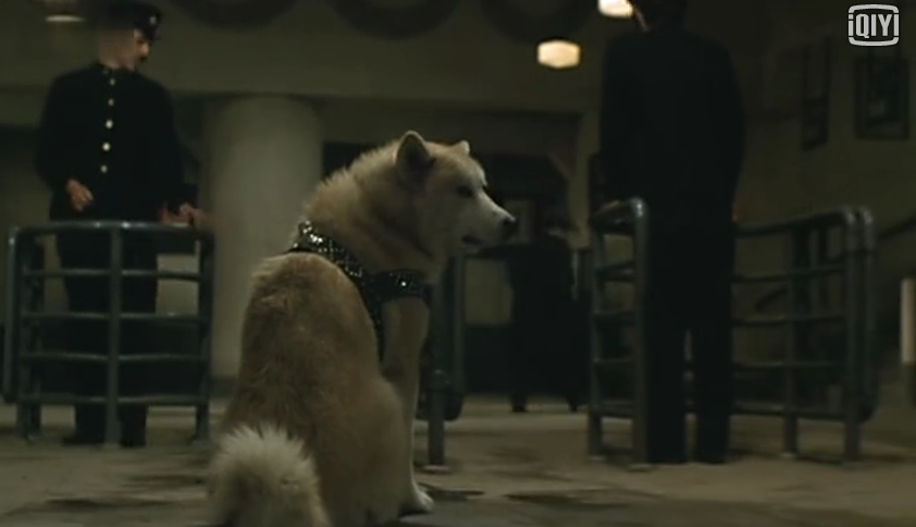 电影/完整版:《忠犬八公物语》 - 「日本邦」