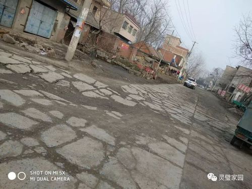 灵璧人自己的声音:欢迎关注【灵璧家园】