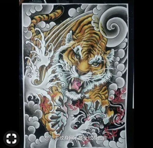 东莞市飞行员的传统老虎满背刺青手稿图案