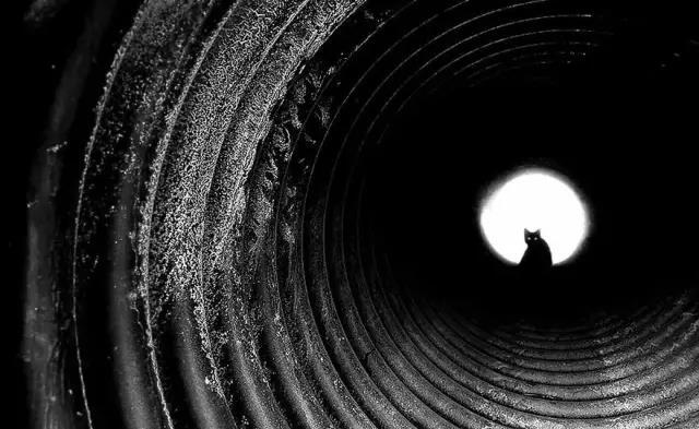 摄影技巧:用好了点构图,照片才更有味道!