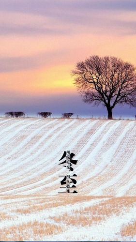 二十四节气之冬至日手机锁屏壁纸
