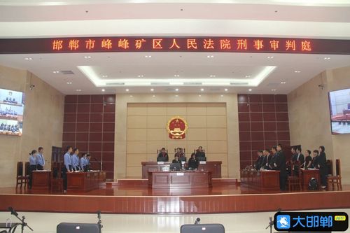 邯郸一地公开审理苗某锋等人涉黑案件