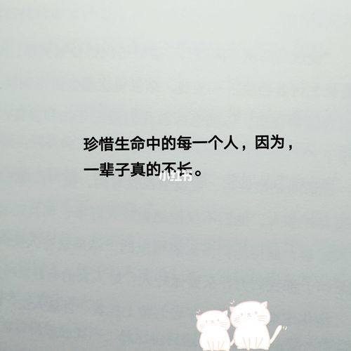 别把别人的付出当做理所当然._励志鸡汤句子_文化_阅读
