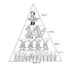 生物能量金字塔