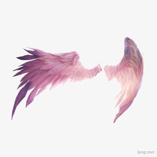 翅膀装饰紫色翅膀羽毛翅膀火焰翅膀羽毛与翅膀30手绘羽毛翅膀造型独特