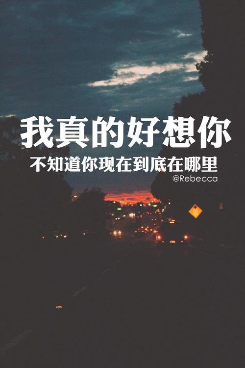 hey 我真的好想你