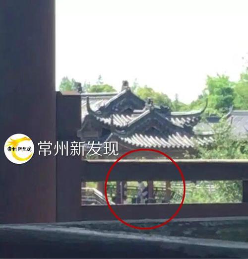 一对男女在公园里动手动脚,丝毫不避讳别人,做出不堪入目的动作,简直