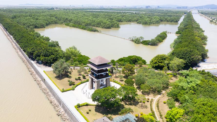 南沙湿地公园广州的西溪湿地
