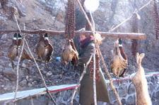 "野味"路边卖(图)