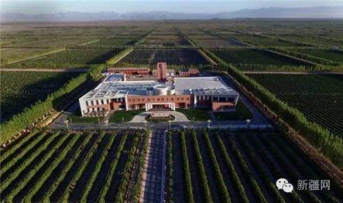 [亚欧博览会系列访谈]天塞酒庄陈立忠:种好葡萄 酿好酒 做中国人喜欢