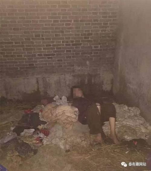泰州一女子被"囚禁"在像猪圈的地方,附照片.