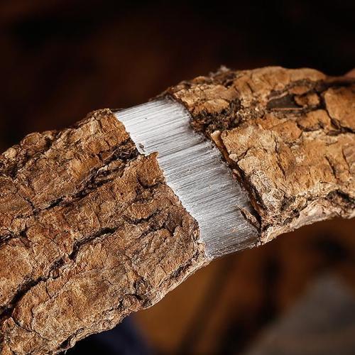 杞里香 杜仲皮100g*1罐装 精选杜仲老树皮 杜仲厚皮杜仲茶可泡茶泡酒