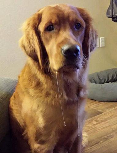 看的我哈喇子都掉一地