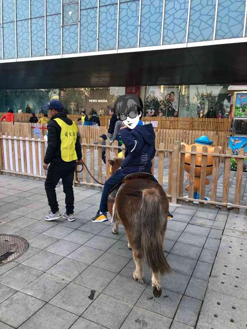 万达广场亲子动物乐园(西铁营万达店)-"玩雪 滑冰 撸宠的好去处,地方