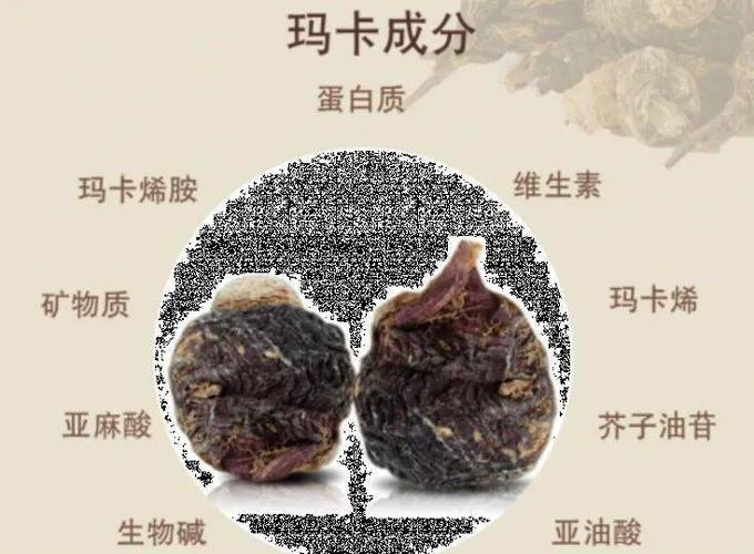 央视解读玛咖粉的功效作用及食用方法