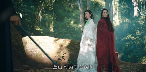 司藤第27集司藤白英达成和解 司藤与丘山同归于尽