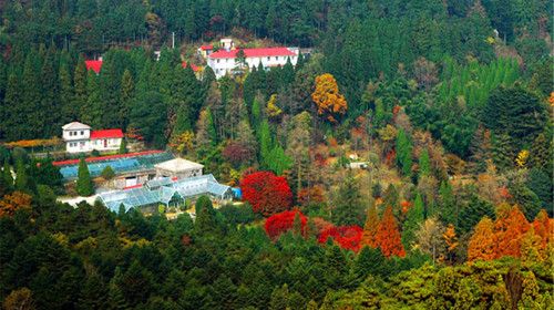 庐山植物园