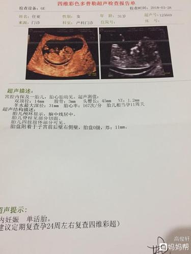 11周彩超报告