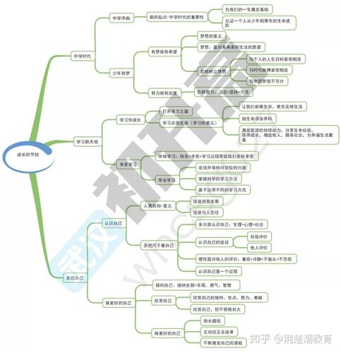 道法思维导图知识点汇总