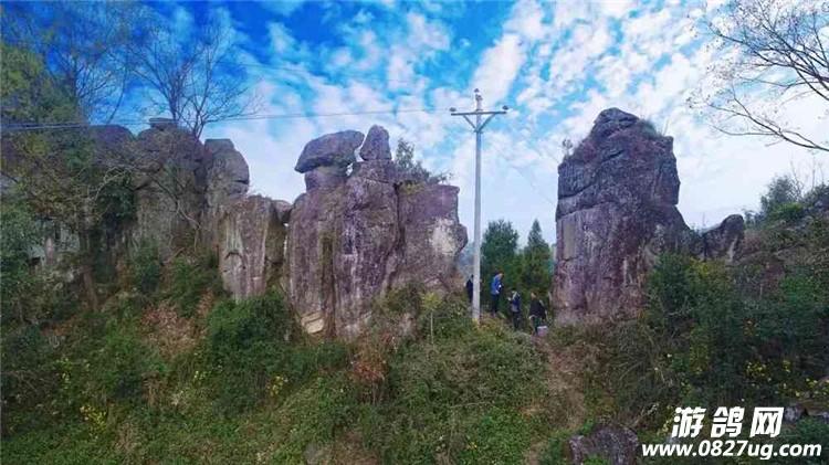 平昌县笔山镇这一幕,实在太美了_平昌论坛_游鸽网_四川巴中综合门户