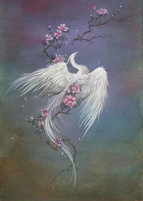 神鸟,凤凰,重明鸟,鲲鹏,朱鸟,神话传说,鲲与鹏,蔡恒,毕方,扶桑