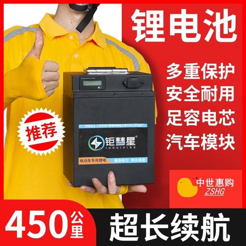 电动自行车48v锂电池电瓶三元里充电器车用一体机60v