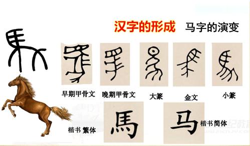 象形文字"马 "字的演变