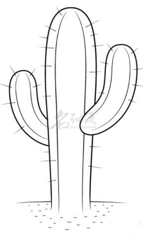 怎么绘画植物仙人掌