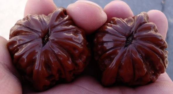 生活文玩核桃识别图鉴最全整合版