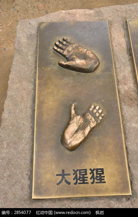 大猩猩脚掌浮雕