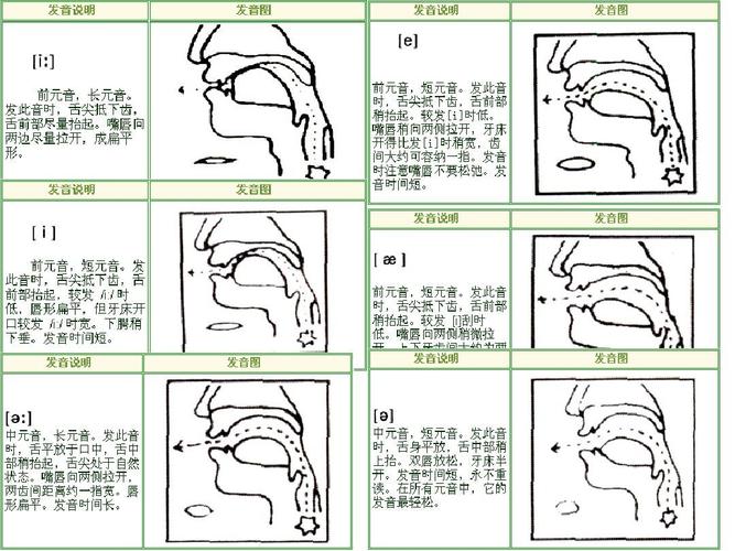 英语音标发音标准口型