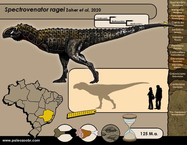 "an early cretaceous theropod dinosaur from brazil sheds light