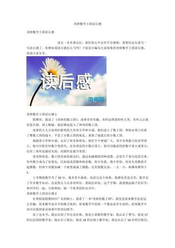奇妙数学王国读后感